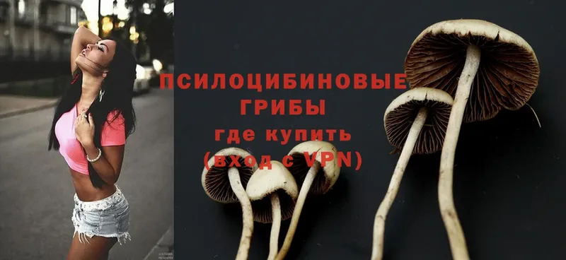 MEGA сайт  Красавино  Галлюциногенные грибы Psilocybe  наркошоп 